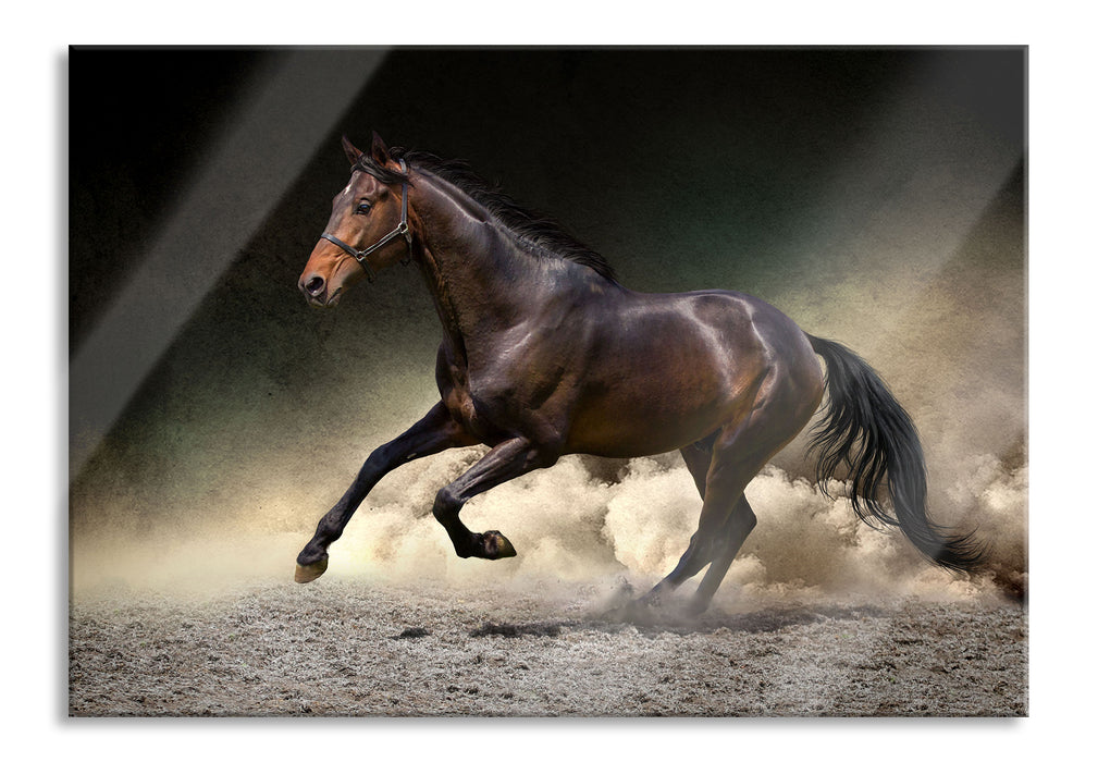 Pixxprint Anmutiges dunkles Pferd, Glasbild