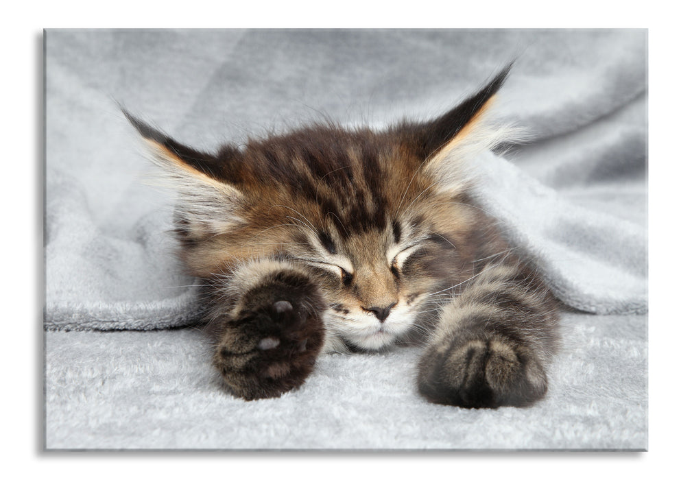 Pixxprint Kleines süßes Kätzchen, Glasbild