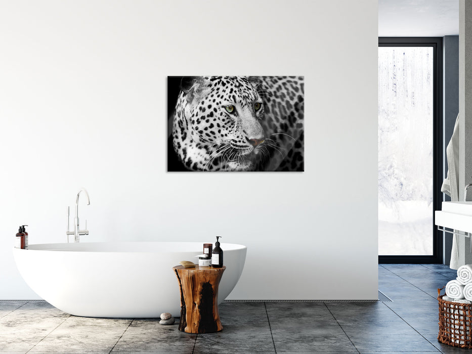 Stolzer Leopard, Glasbild