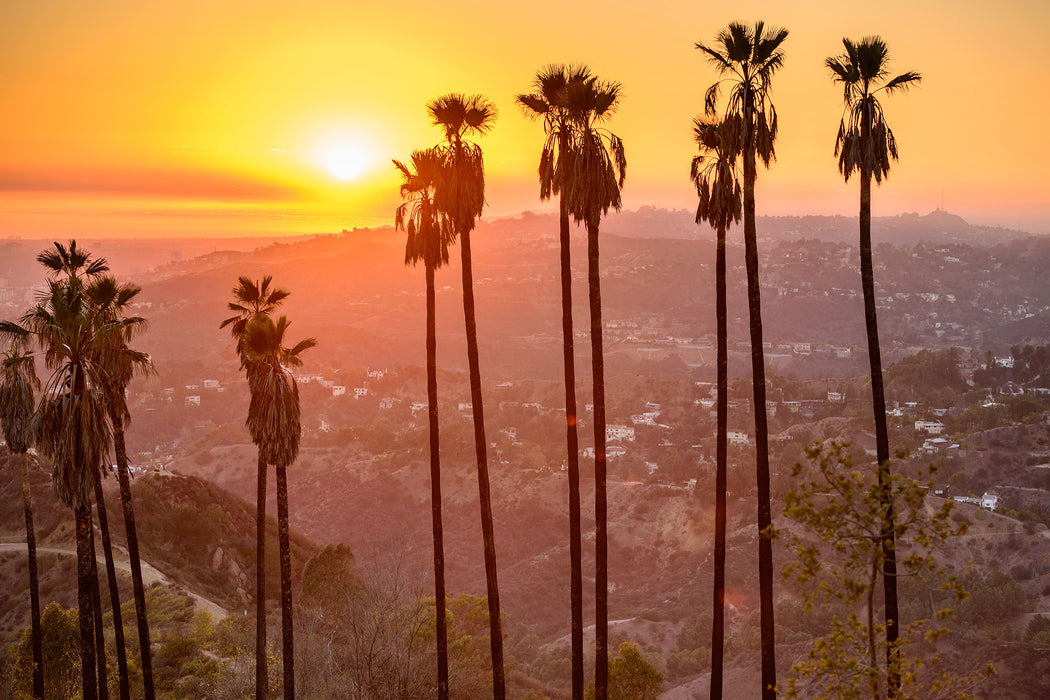 Blick auf Hollywood, Glasbild