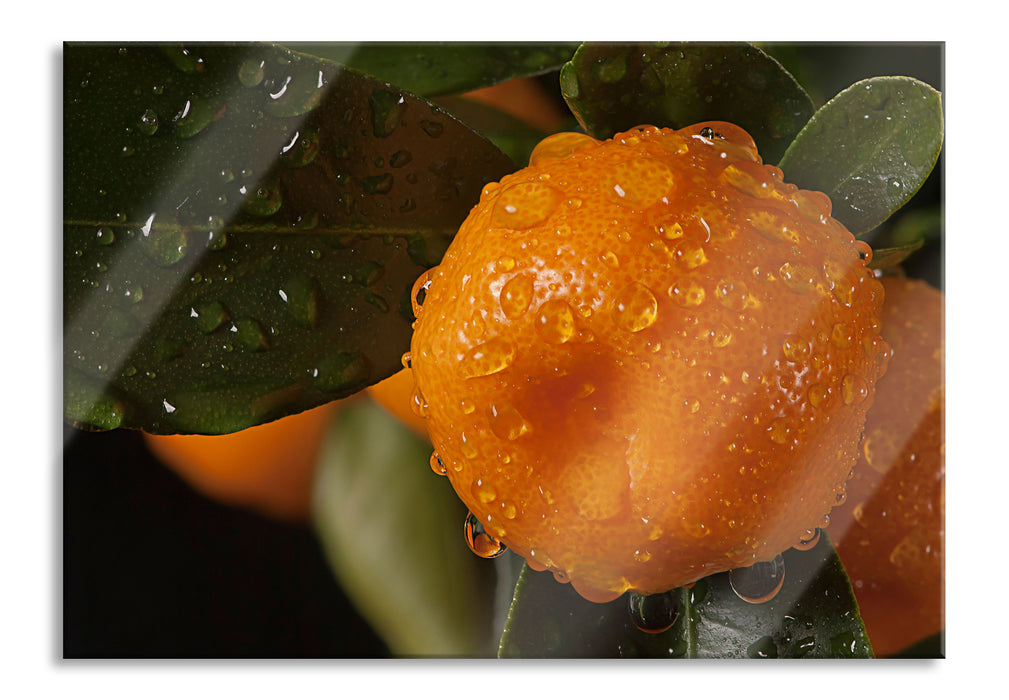 Pixxprint Saftige frische Orange, Glasbild