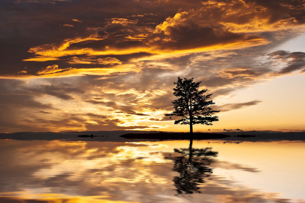 Einsamer Baum auf Insel, Glasbild