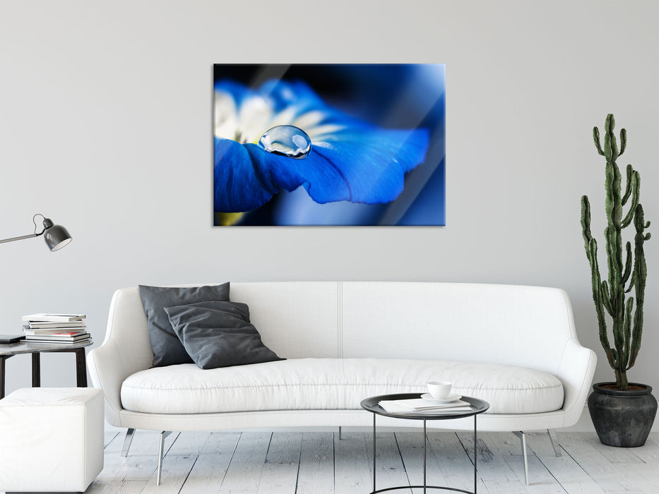 Wassertropfen auf blauer Blüte, Glasbild