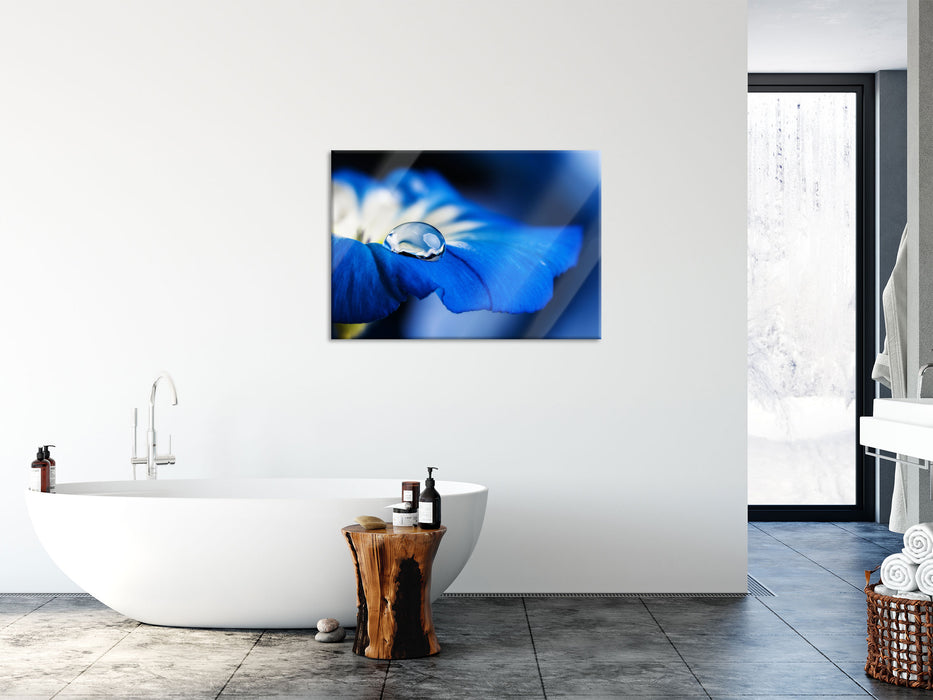 Wassertropfen auf blauer Blüte, Glasbild