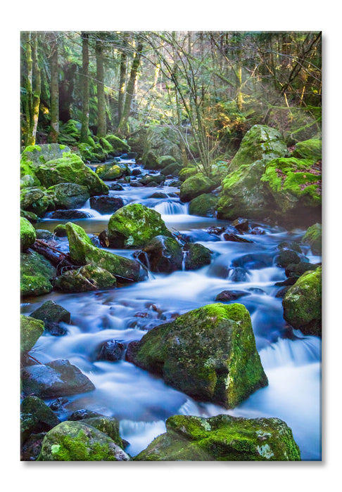 Pixxprint Wilder Bach, Glasbild