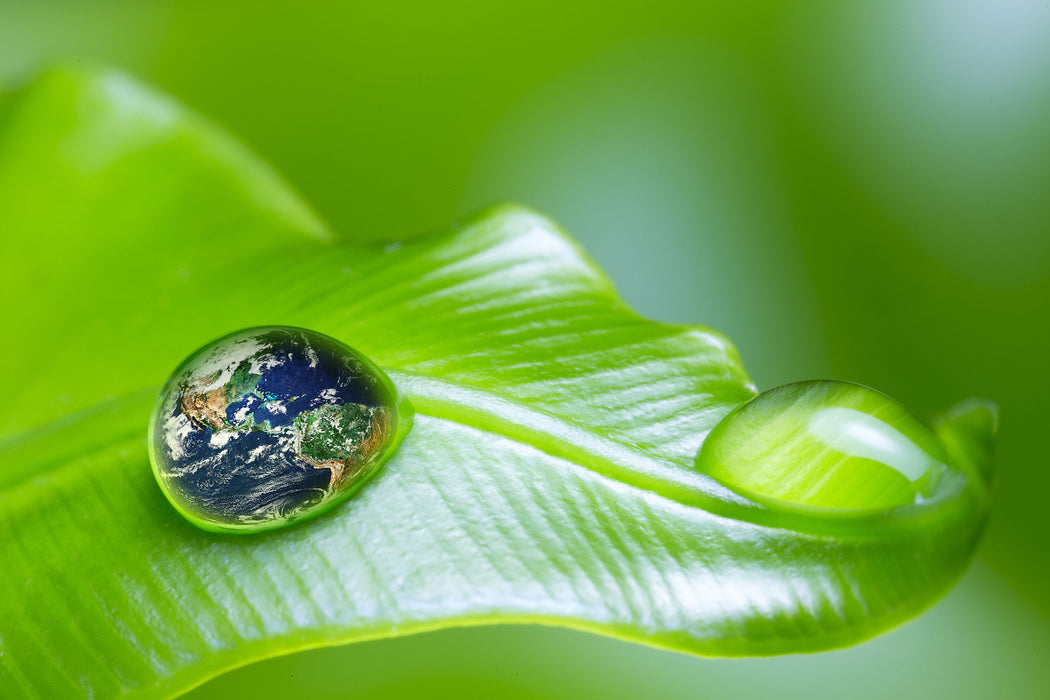 Tautropfen Planet Erde, Glasbild