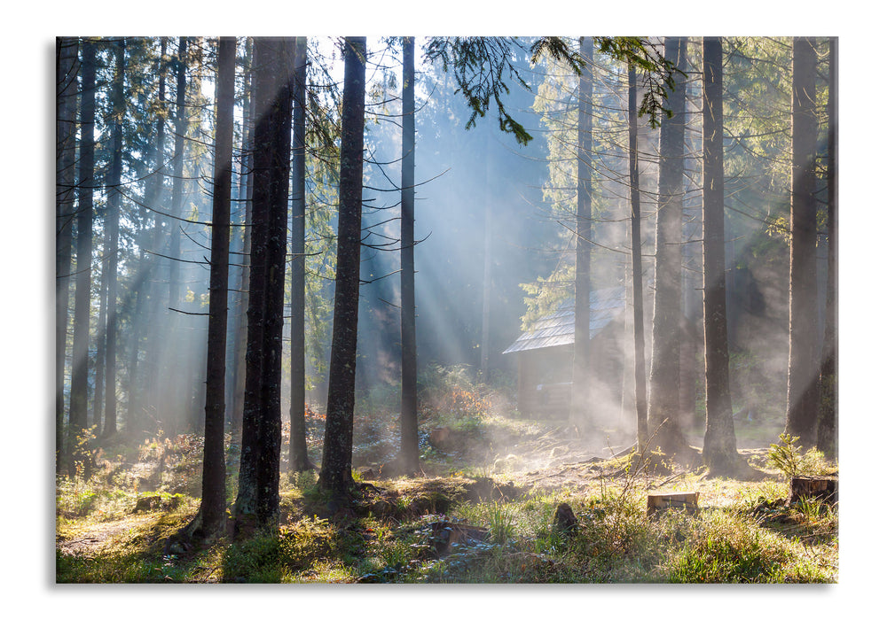 Pixxprint Sonnenstrahlen im Wald, Glasbild