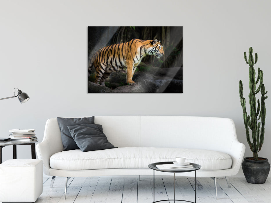 Tiger, Glasbild