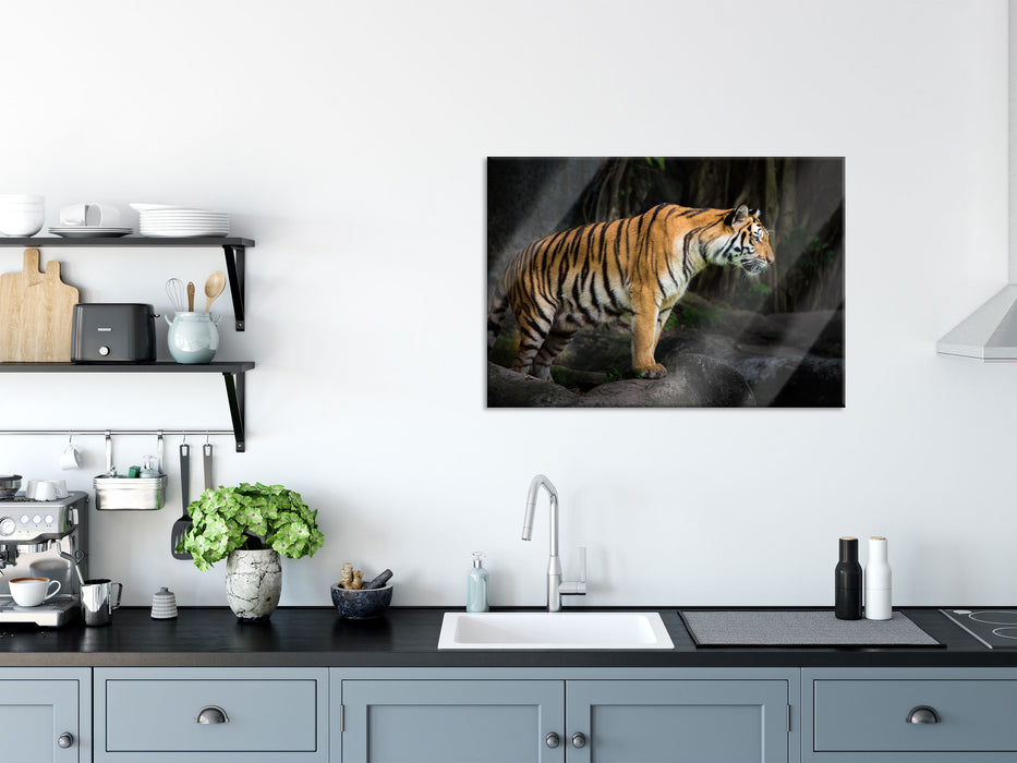 Tiger, Glasbild