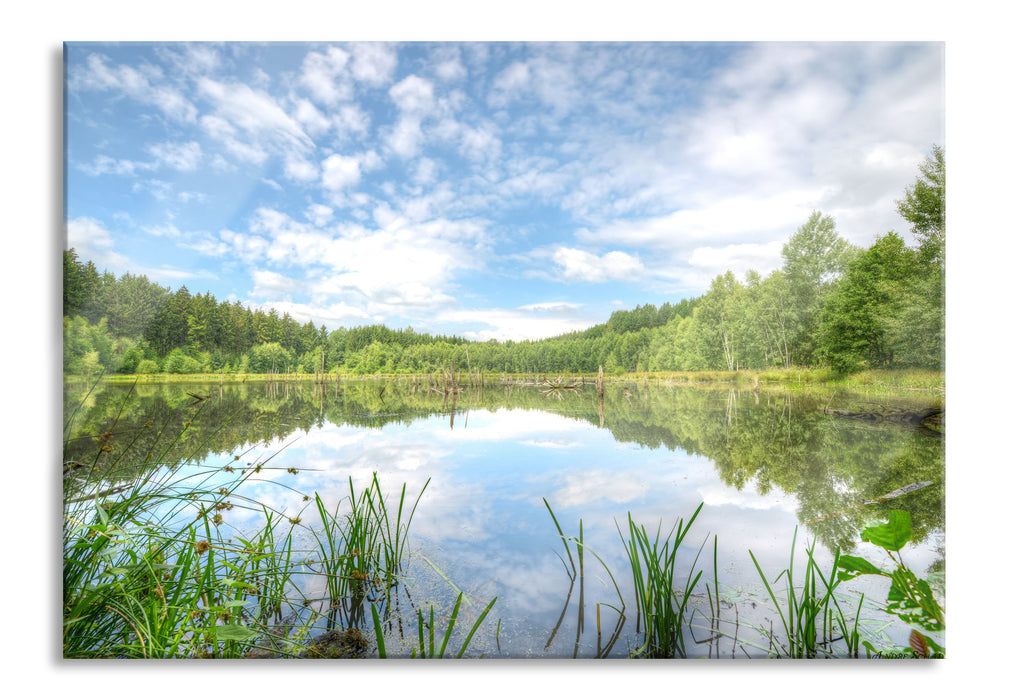 Pixxprint Waldsee Nachmittagstraum, Glasbild