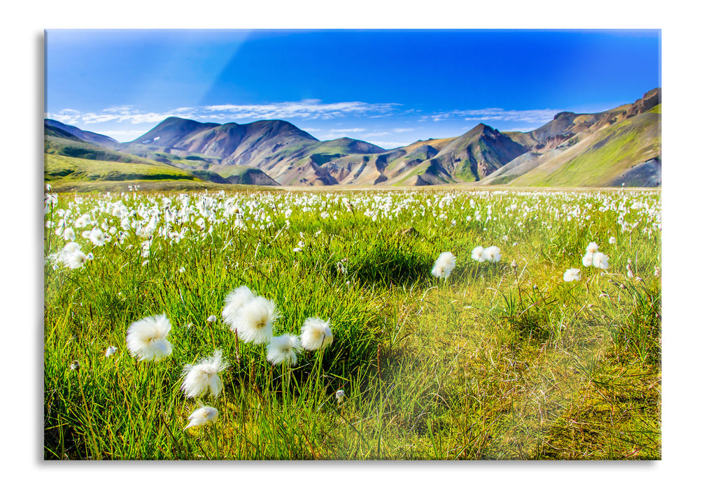 Alpenwiese, Glasbild