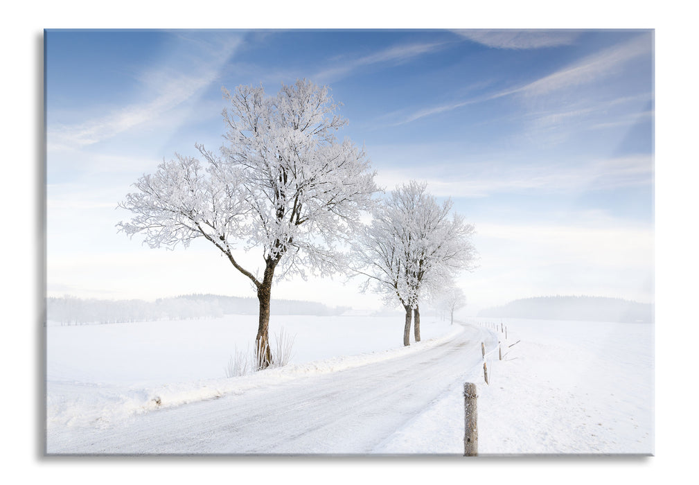 Pixxprint Baum im Schnee, Glasbild