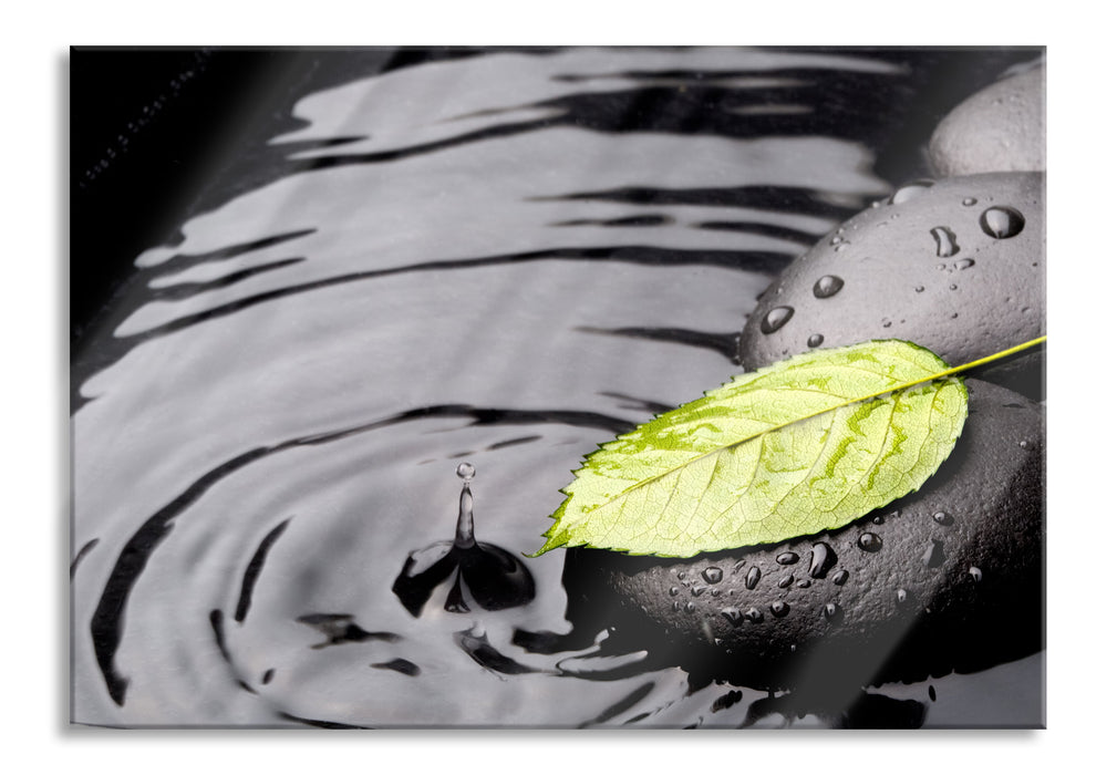 Pixxprint Stein mit Blatt, Glasbild