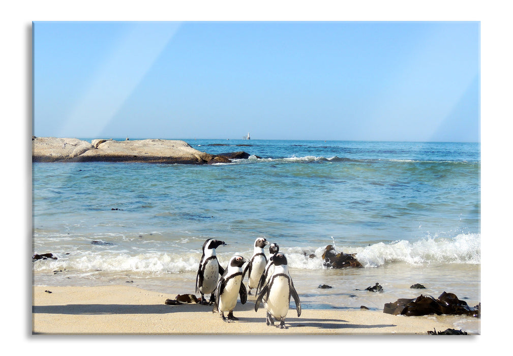 Pixxprint Pinguine am Strand, Glasbild