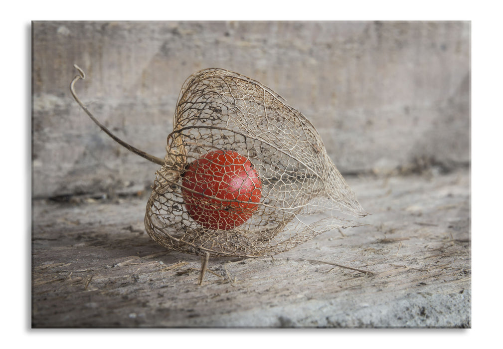 Pixxprint Physalis, Glasbild