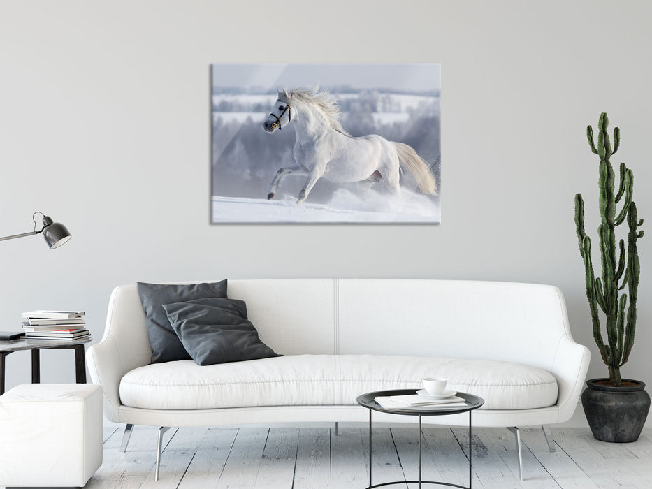 Weißes Pferd auf Schneewiese, Glasbild