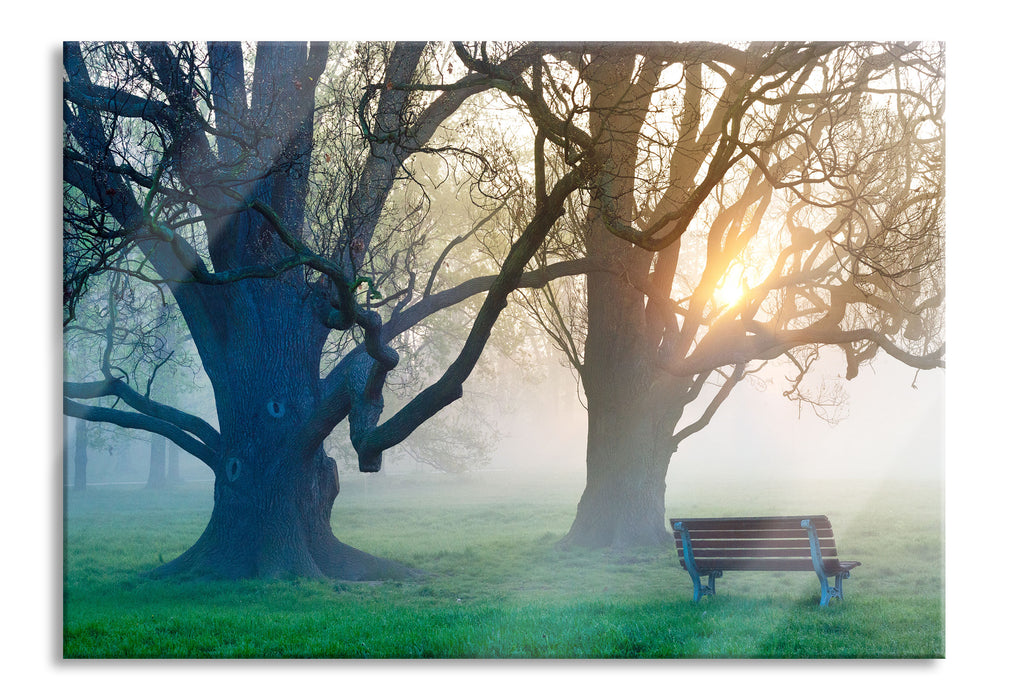 Pixxprint Baum und Bank im Nebel, Glasbild