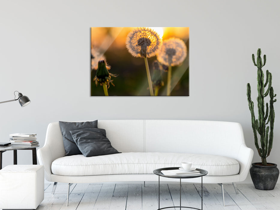 Pusteblume, Glasbild