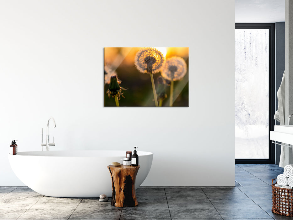 Pusteblume, Glasbild