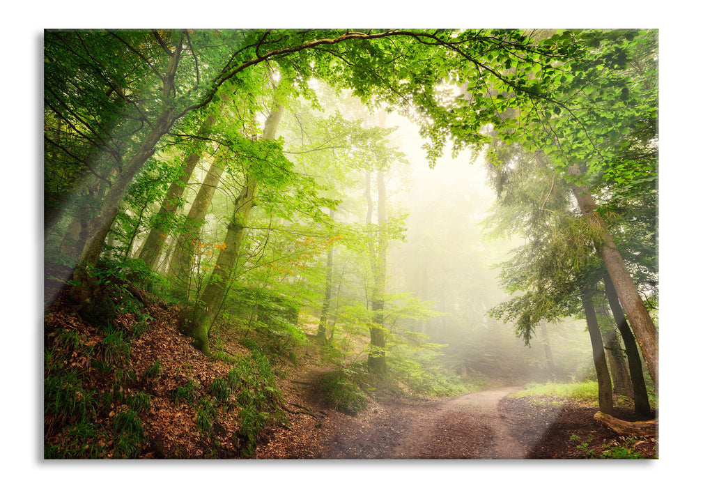 Pixxprint Sonnenstrahlen Waldweg, Glasbild