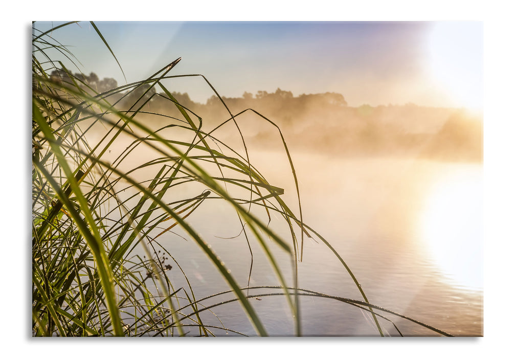 Pixxprint Schilf am See, Glasbild