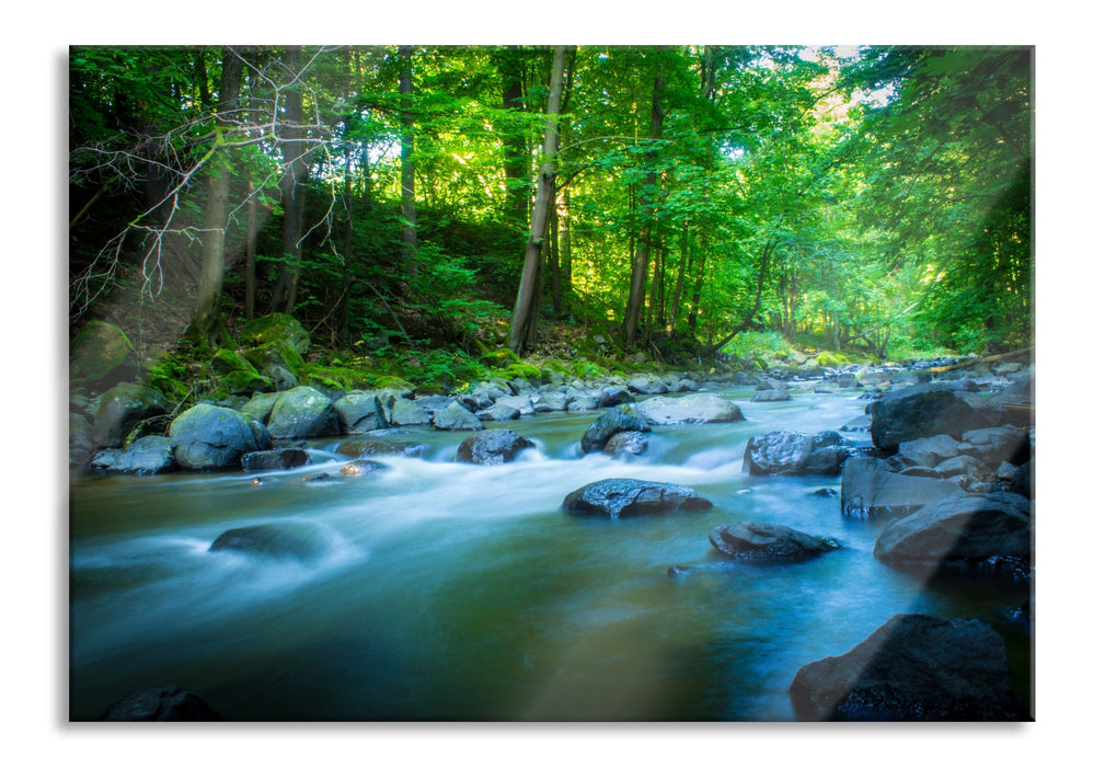 Pixxprint Fluss im Wald mit Steinen, Glasbild