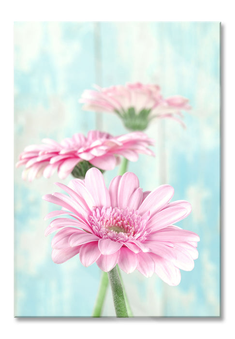 Pixxprint Gerberas, Glasbild