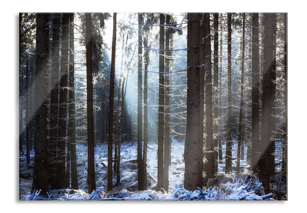 Pixxprint Winterwald, Glasbild