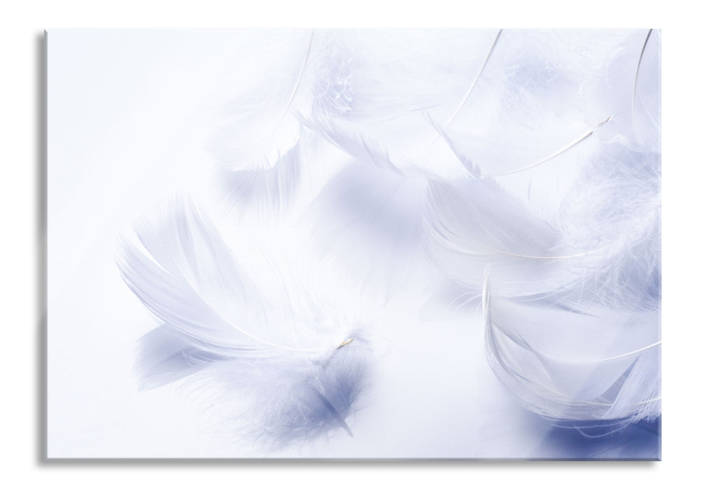 Pixxprint Weiße Feder auf schwarzem Stein, Glasbild