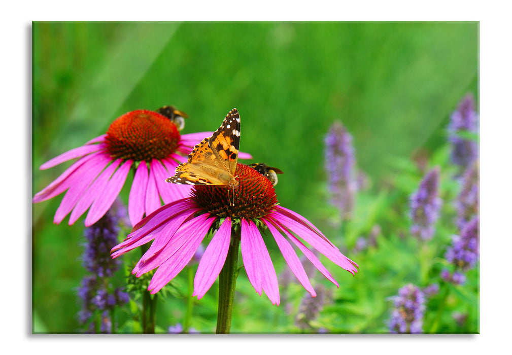 Pixxprint Schmetterling auf Blüte, Glasbild