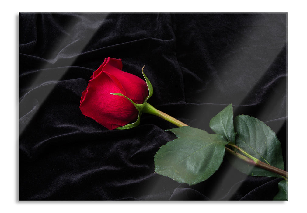 Pixxprint Rose, Glasbild