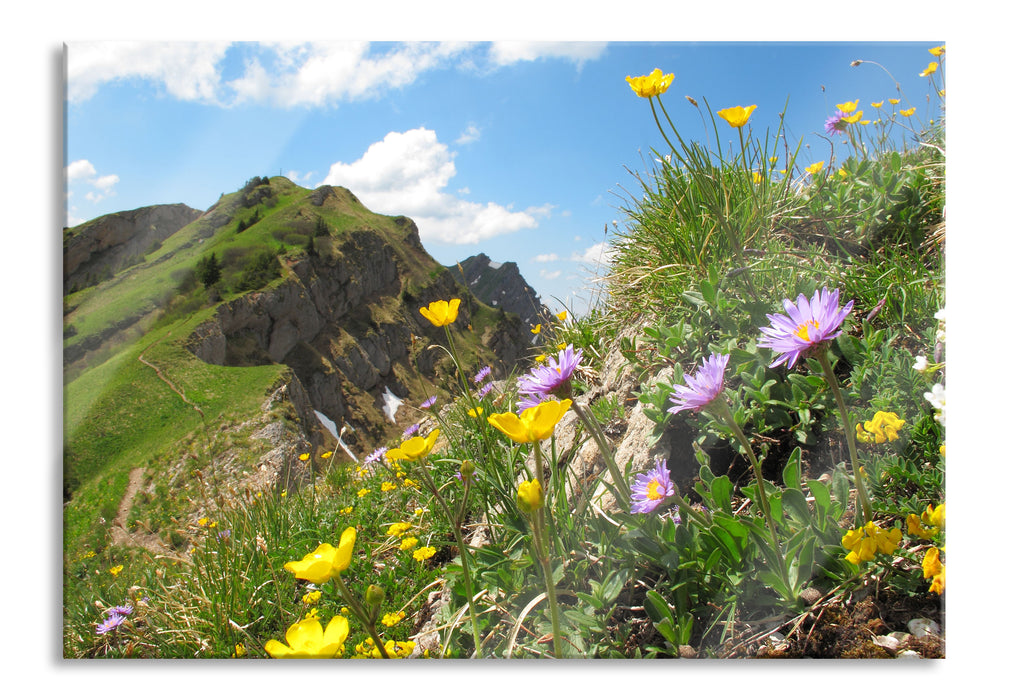 Pixxprint Blumenwiese im Frühling, Glasbild