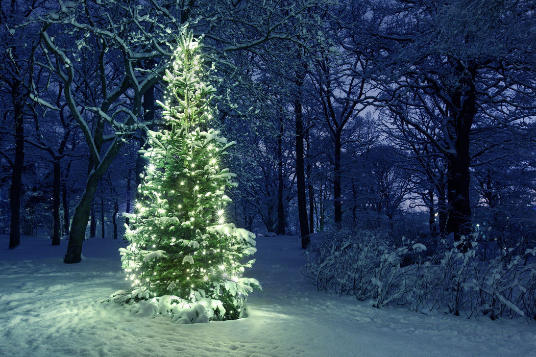 Leuchtender Weihnachtsbaum, Glasbild