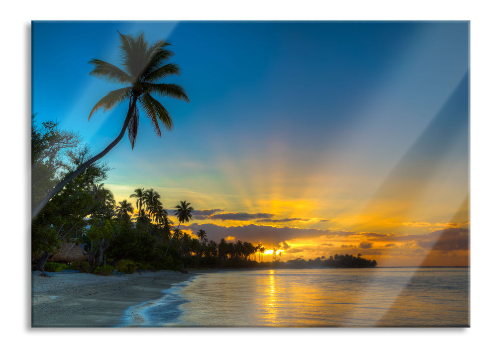 Pixxprint Palmen am Strand, Glasbild