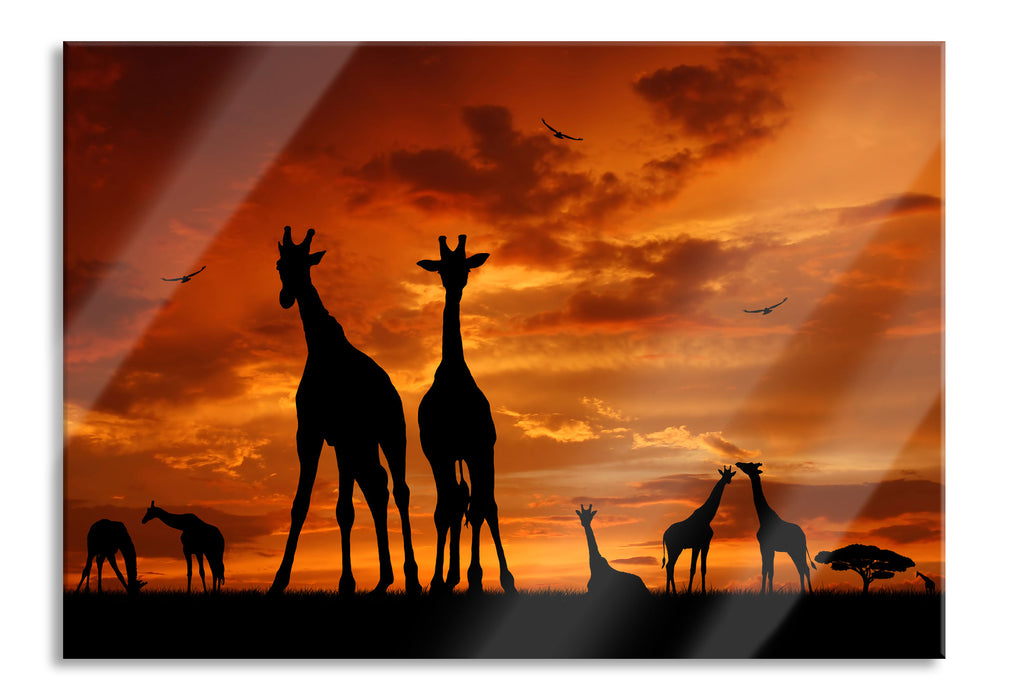 Pixxprint Afrika Giraffen im Sonnenuntergang, Glasbild