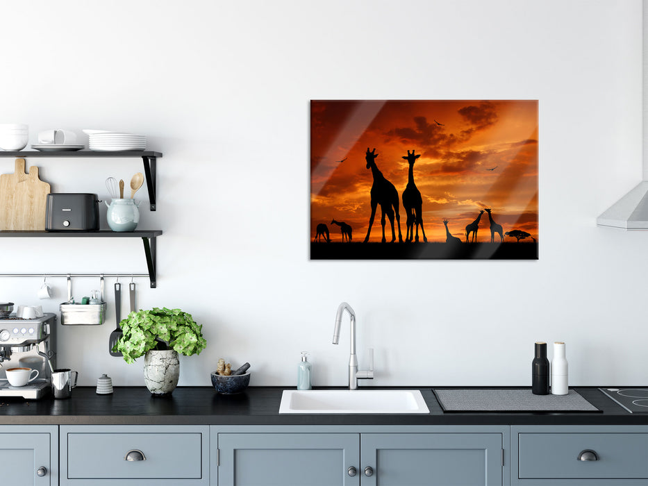 Afrika Giraffen im Sonnenuntergang, Glasbild