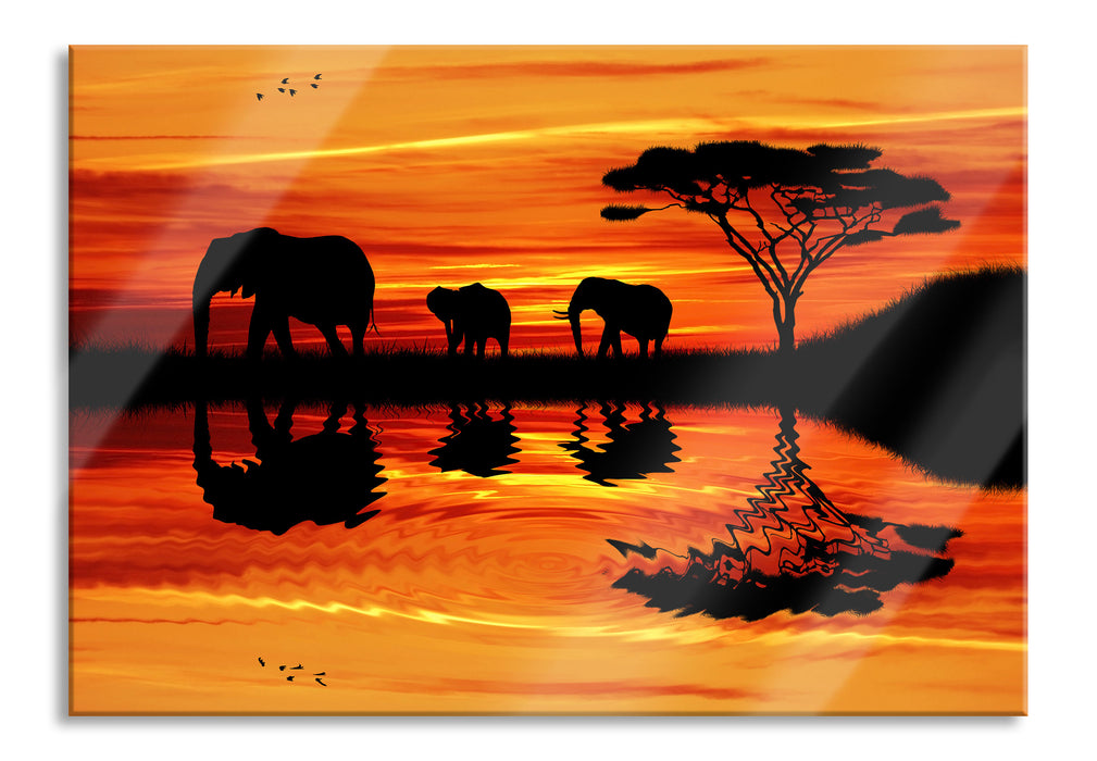Afrika Elefant in Sonnenschein, Glasbild