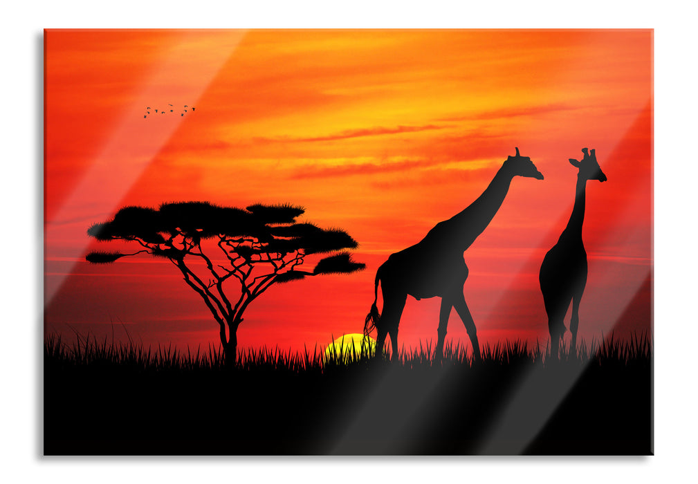 Afrika Giraffen im Sonnenuntergang, Glasbild