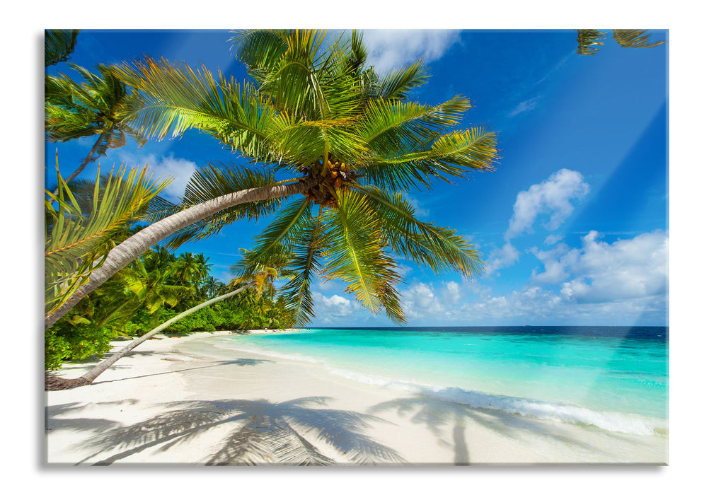 Pixxprint Palmenstrand, Glasbild