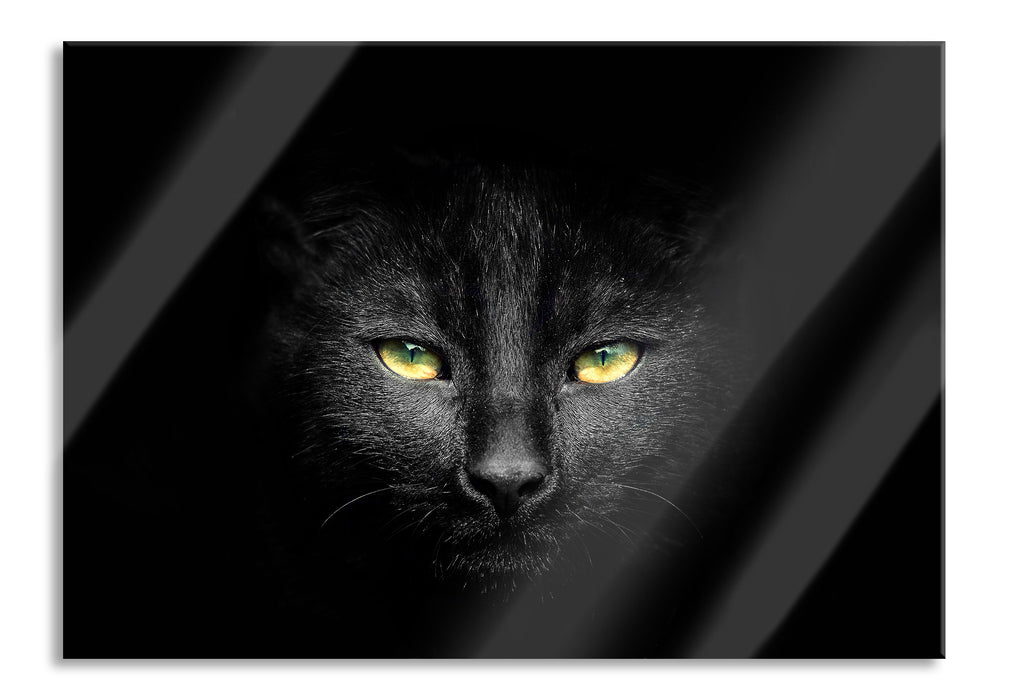 Pixxprint Dark schwarzes Katzengesicht, Glasbild