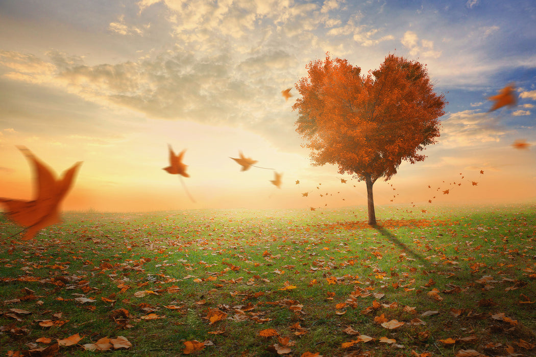 Herzbaum im Herbst, Glasbild