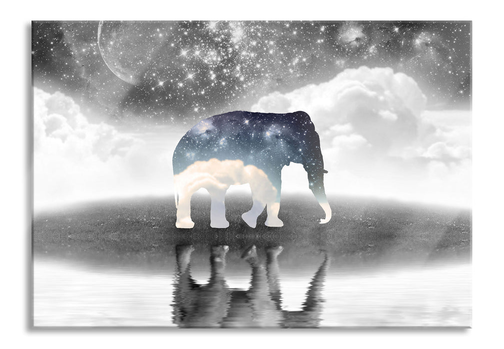 Pixxprint Einsamer Elefant, Glasbild