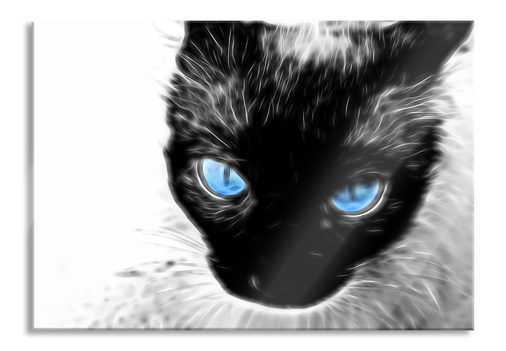 Pixxprint Blaue Augen schwarze Katze new Art, Glasbild