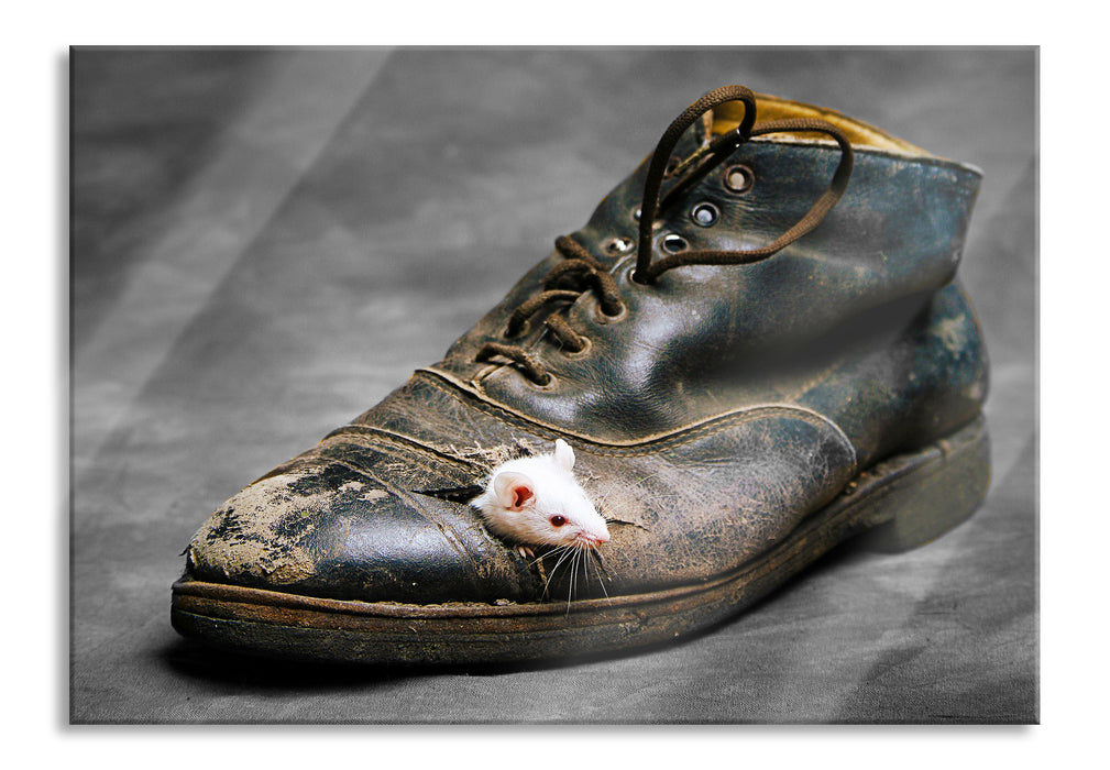 Pixxprint Maus im schwarzer Schuh, Glasbild