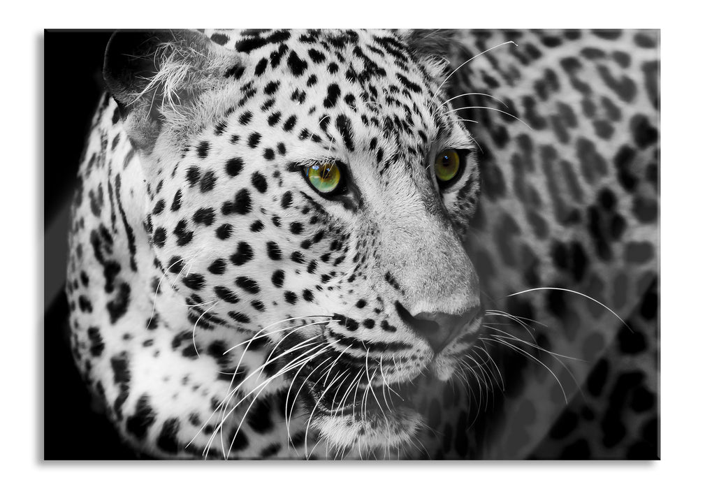 Pixxprint Dark Leopard mit grünen Augen, Glasbild