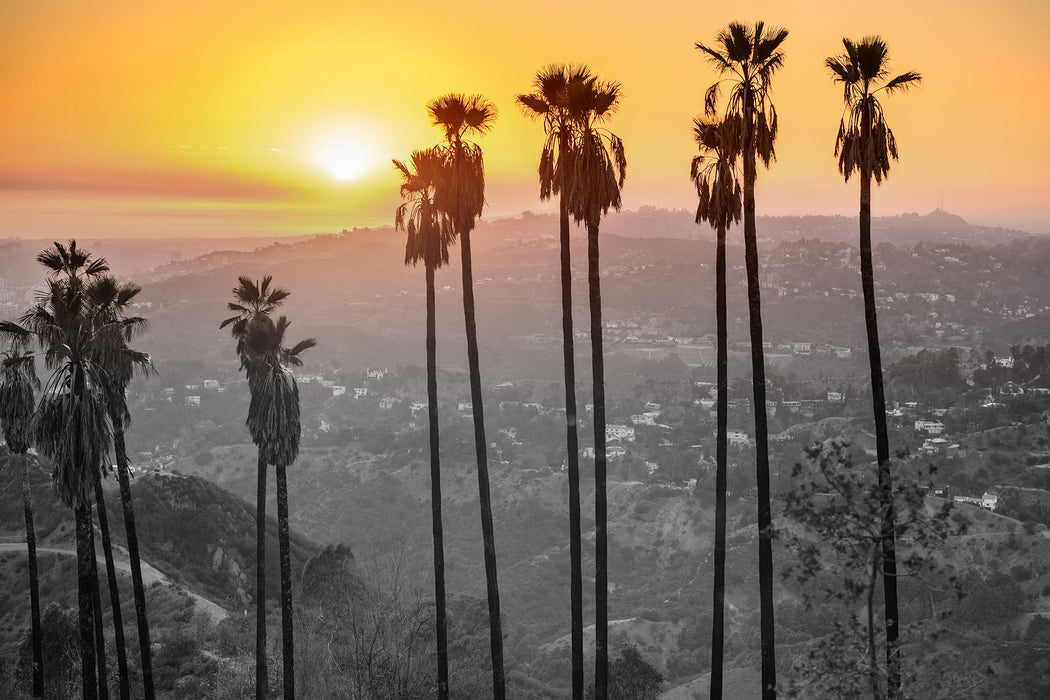 Aussicht auf den Hollywood Hills, Glasbild