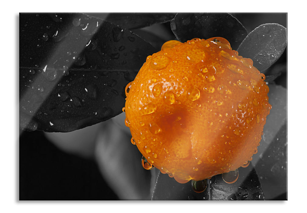 Pixxprint Orange mit Wassertropfen, Glasbild