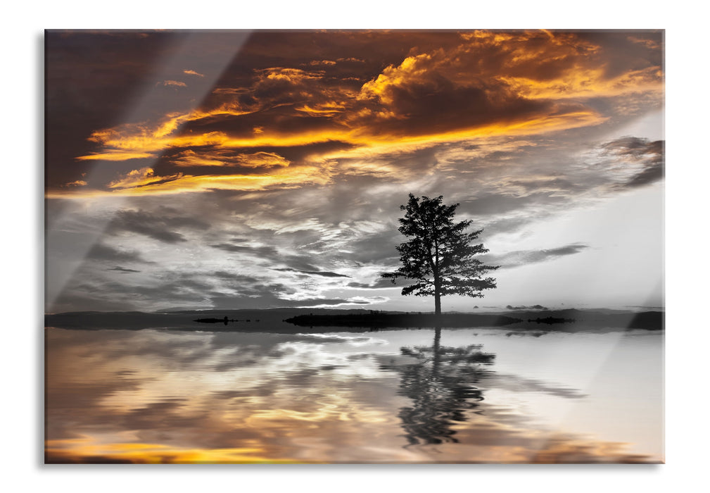 Pixxprint einsamer Baum auf Wiese, Glasbild
