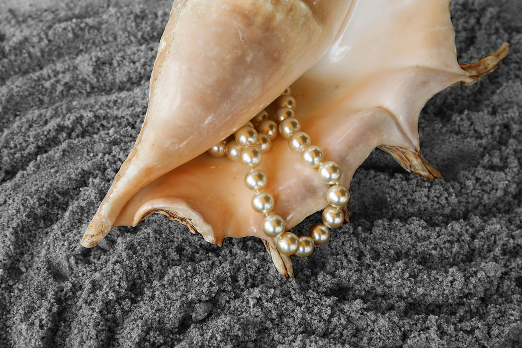 Muschel Perlenkette, Glasbild