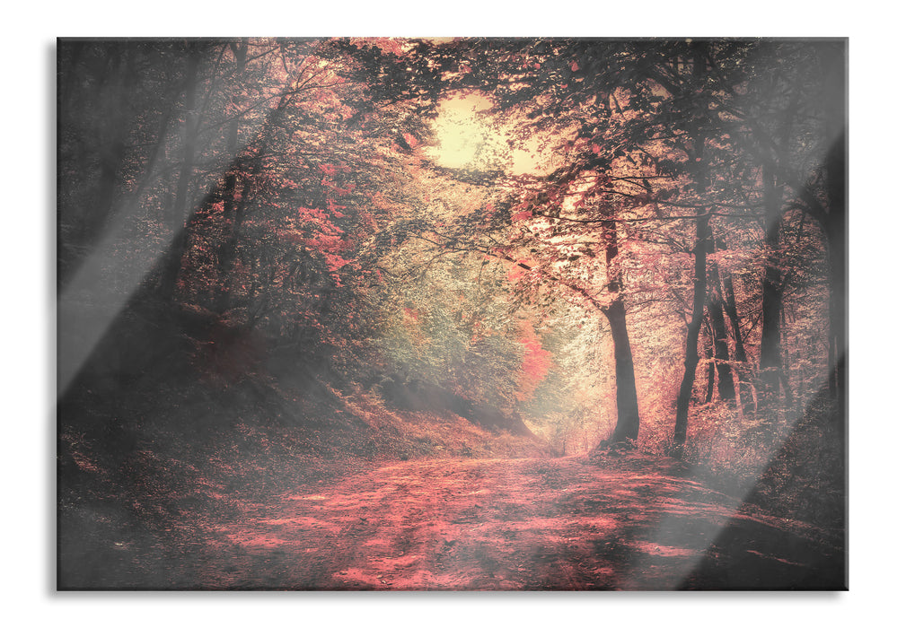Pixxprint Waldstraße im Herbst, Glasbild
